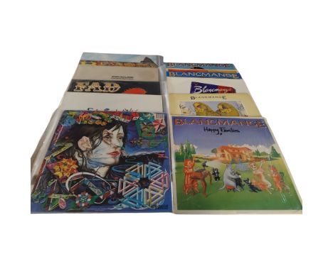 Pop/Synth/Electro 48 vinyl LPs and 12"s including Blancmange Believe You Me LP (VG), Blancmange Don't Tell Me 12" (VG), Blanc