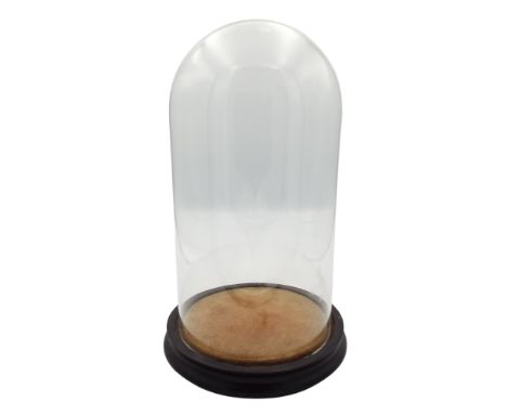 A glass taxidermy dome, circa 1900, with attached paper label to base inscribed 'from T Crossling &amp; Co's, Glass Shade &am