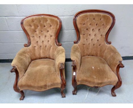 A pair of Victorian mahogany framed armchairs upholstered in a brown button dralon  