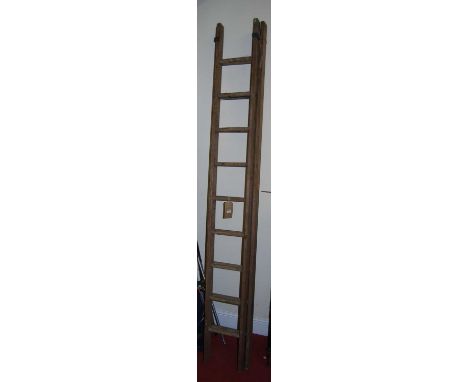 A pine twin section ladder