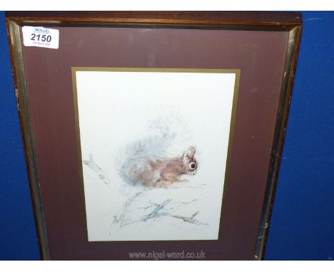A framed print of a red Squirrel, indistinctly signed lower right. 15 3/4'' x 12''.