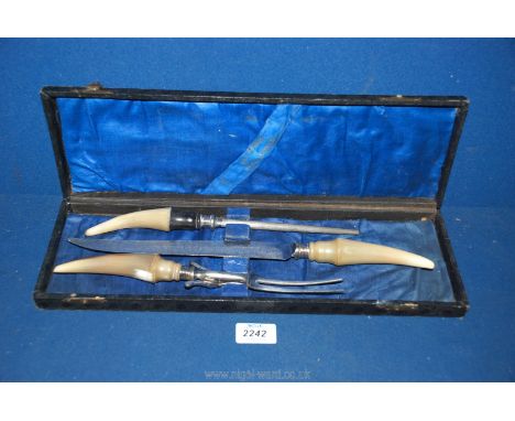 A cased three piece carving set including horn handled carving knife (8") and fork, plus sharpening steel, the silver collar 