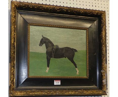 20th century Engish school - Study of a black hunter, oil on panel, 24 x 29cm 