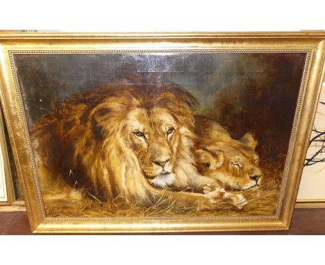 AV Bramble - A Lion with Lioness, oil on canvas, signed and dated lower left 1901, 50x75cmLight craquelure throughout, more n