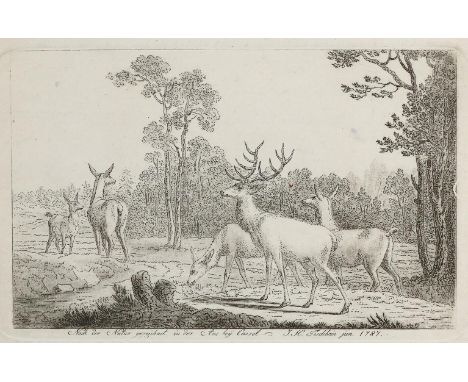 Tischbein, Johann Heinrich d.J.: (1742 Haina - 1808 Kassel). Hirsche. Radierung 1787. 20,3 x 30,8 cm.   R