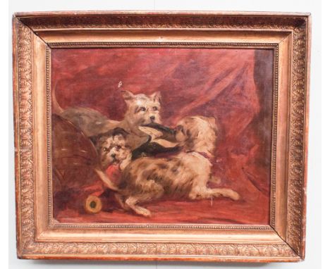 19th century gilt framed oil painting of three Terrier dogs playing, 12.5" X 15.5"