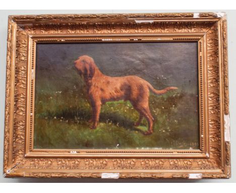 19th century gilt framed oil painting on canvas of Hound in meadow scene signed J Baden 1895.  10" x 15.5"