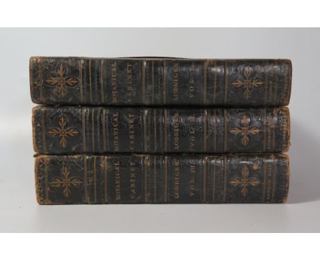 Conrad Loddiges & Sons, The Botanical Cabinet, plates by George Cooke, Jolm & Arthur Arch 1818, in three volumes and bound in