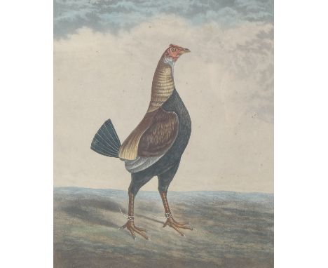 19th century coloured etching, after W Marshall, 'Ready for the Battle'. 43cm x 53cm. Framed and glazed.&nbsp;
