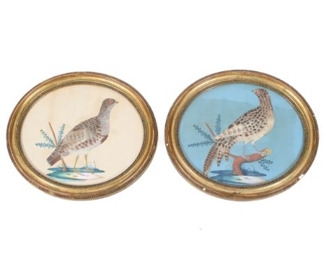 A pair of early 19th century mixed media oval pictures of birds. Each featuring a game bird composed of real feathers with fu