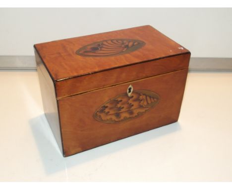 Early 19th century satinwood tea caddy with shell motif inlay, rectangular form, hinged lid enclosing two compartments