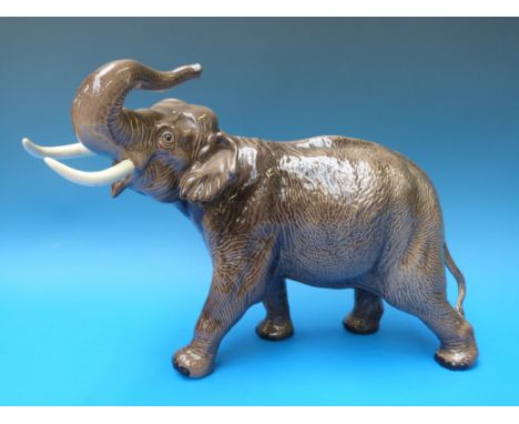 A large Beswick elephant, charging with trunk raised 30 cm tall