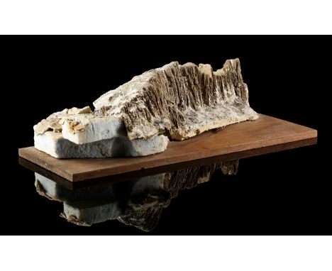 STAR WARS - EP V - THE EMPIRE STRIKES BACK (1980) - Asteroid Surface Model Miniature An asteroid surface model miniature from