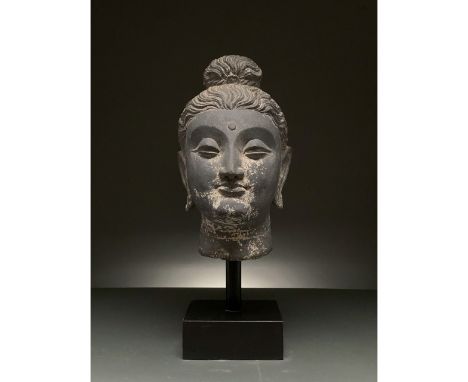 100-300 AD. Gandharan. Superb life-size schist head of Buddha, with characteristic topknot (Ushnisha) and elongated, pendular