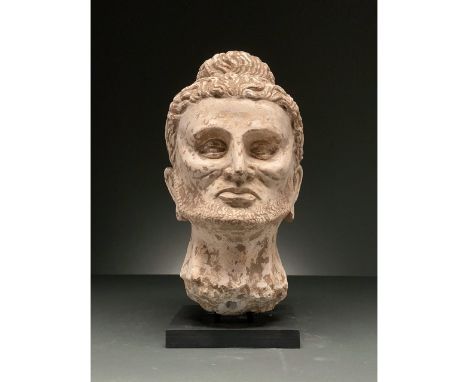 300-500 AD. Gandharan. Over life-size stucco head of starving buddha, identified by his topknot (Ushnisha) and pendular ears.