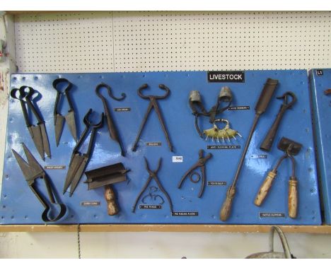 A bygone display board showing tools for livestock including horn trainers, tooth rasp etc 
