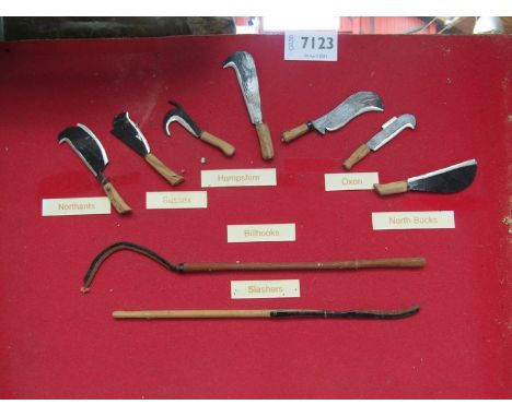A board containing miniature scale models of various hedging tools 