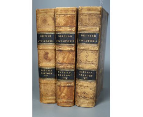 ° ° Partington, Charles F. - The British Cyclopaedia of Natural History.... 3 vols. num. engraved plates and text illus., old