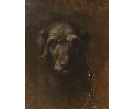 T. Cochrane, oil on canvas, Portrait of an black dog, signed and dated 1911, 50 x 40cm