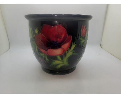 Moorcroft planter in the Anemone pattern, no chips or cracks, H: 17 cm. UK P&amp;P Group 2 (£20+VAT for the first lot and £4+