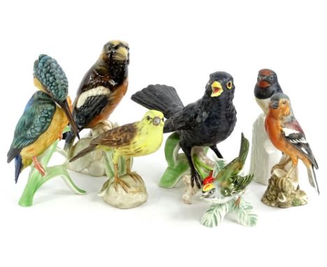 A collection of ceramic birds, mainly Goebel, to include Kingfisher, Blackbird, Finch etc.
