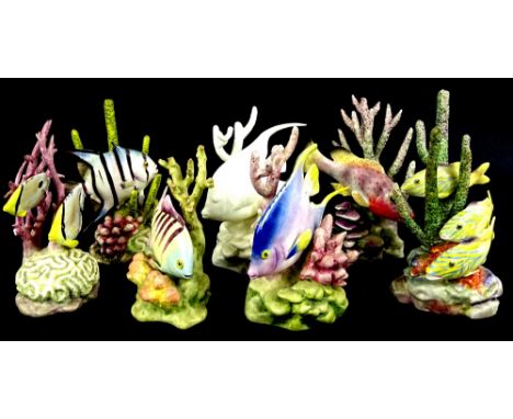 A collection of seven Royal Worcester porcelain models of exotic fish, each modelled by Ronald Van Ruyckevelt to include a sp