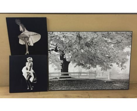 Two monochrome prints of Marilyn Monroe; together with a large print of tree and fence