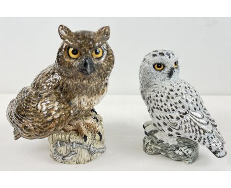 2 large R &amp; J Mack ceramic owl figurines - Eagle Owl &amp; Snowy Owl. Boxed, both with stamped crown mark and hand painte