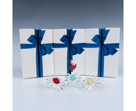 A beautiful set of three marguerite flowers showcases clear petals and stems, each featuring a vibrant center in bright yello