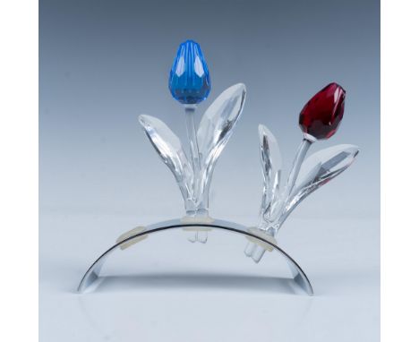A lovely set of clear body tulips, one adorned with a captivating blue bud (606546) and the other featuring a striking red bu