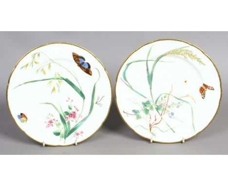 Two Minton porcelain cabinet plates transfer printed with butterflies and botanical's, retailed by T Goode & Co