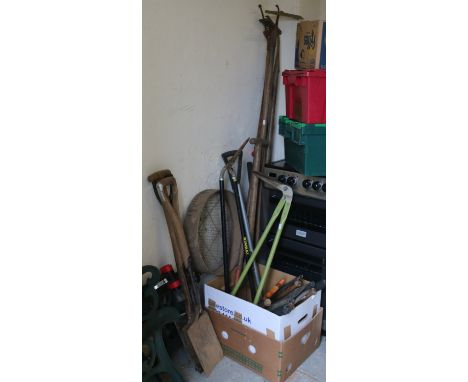 A collection of assorted gardening tools.