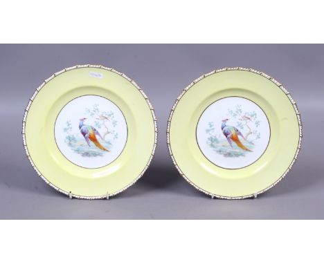 A pair of Royal Crown Derby cabinet plates and enamelled with ornithological subjects.