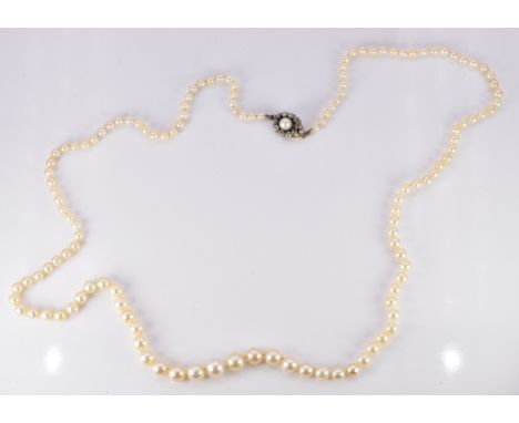 Victorian single strand of 129 natural pearls, the yellow metal clasp set with a pearl surrounded by old cut diamonds, with A