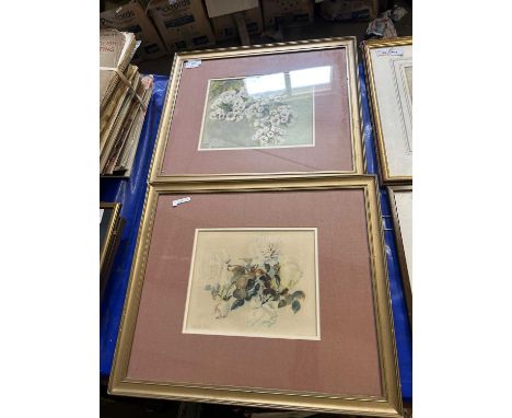 M. Tudor Pole (19th century) Pair of botanical watercolours, signed / initialed and dated 1899, 19x24cm, 21x27cm, framed and 