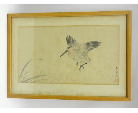 Japanese Meiji period drawing of a group of 4 various birds in pen, ink and colour, signed, 56 x 27, Manner of Kawanabe Kyosa