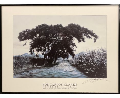 Bob Carlos Clarke (1950-2006), ‘Rivière Citron’, monochrome photographic print, signed lower right margin, 60.5cm x 80.5cm. 