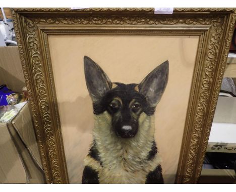 Gilt framed print of a German Shepherd. Not available for in-house P&amp;P 