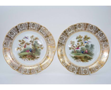 A pair of hand painted Aynsley plates, by R J Keeling, decorated with exotic birds in parkland, bordered in gilt Grecian leaf