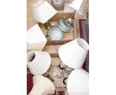 Table lamps and shades and ceiling light fittings (2 boxes)