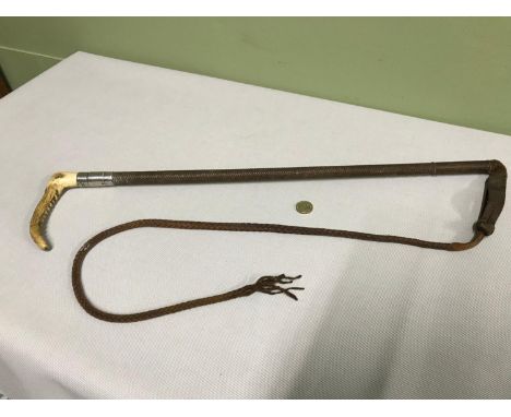 A Birmingham silver collard and horn handle horse training whip