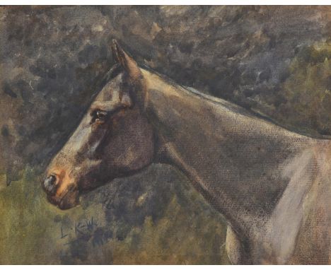 
	
		λ&nbsp;LUCY ELIZABETH KEMP-WELCH (BRITISH 1869-1958) 
		PORTRAIT OF SHAMROCK
		Watercolour 
		Signed with initials and d
