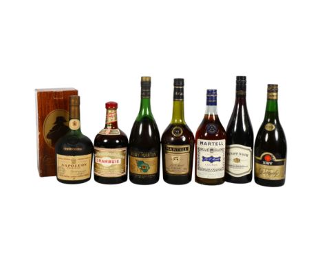 A collection of spirits, including 2 bottles of Martell Cognac, Pinot Noir, Remy Martin, etc (7)