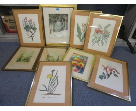 A miscellaneous lot of framed and glazed prints and watercolours to include five botanical prints 