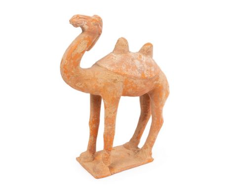 A Chinese, Tang Dynasty buff coloured pottery model of a camel, circa 700 AD, standing on a flat rectangular base, unglazed, 