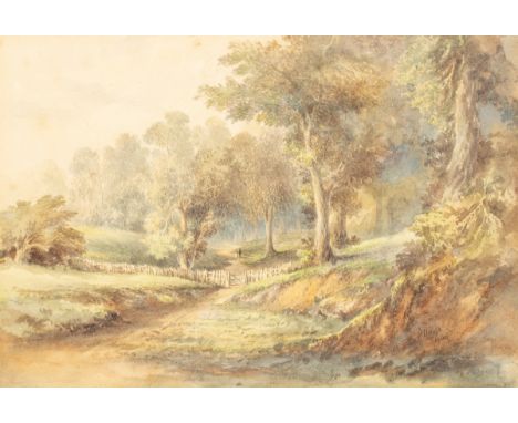 Harry Davis (1885-1970)/A woodland walk/signed and dated 1903/an early watercolour, 13.5cm x 19.5cm/Note: acquired directly f