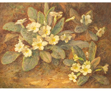 Richard Sebright (1868-1951)/Primroses on a Woodland Bank/signed R Sebright/watercolour, 21.5cm x 27cm, framed/Provenance: fr
