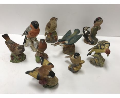 A collection of various painted porcelain bird figures including Royal Worcester "Kingfisher" (3235), "Thrush" (3234), "Weste