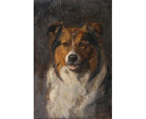 GEORGE JACKSON HUTCHISON (1896-1918)Portrait of a CollieOil on canvas, signed44cm x 31cmSon of ROBERT GEMMELL HUTCHINSON died