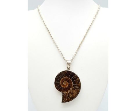 An Ammonite Gemstone Pendant set in 925 silver with a 925 Silver Chain. Weight - 37 gm. Pendant -6cm. Necklace - 54cm. Comes 